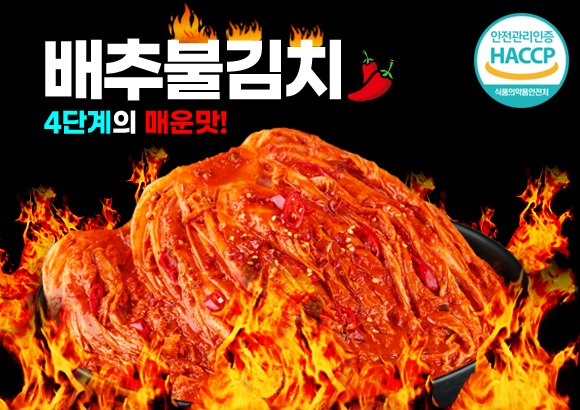 김장 배추불김치, 김치, 맛있는김치